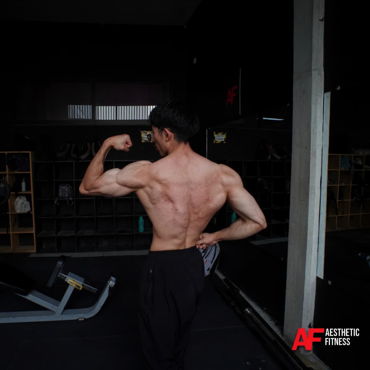 WhatsApp Image 2026-02-02 at 22.34.21 (1)